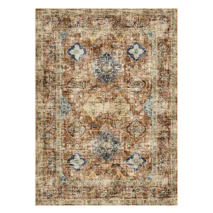 Area Rugs Vintage Oriental Printed Distressed Design Washable Low Pile Carpet for Living Room Bedroom Orange 8x10Ft