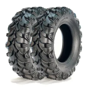 22x10-9 ATV Tires 2-Pack Rear 4PR All Terrain Trail Sand Tubeless Reinforced Sidewall