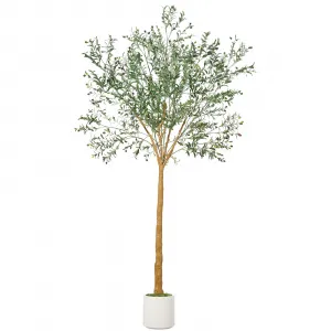 9ft Artificial Olive Tree Tall, Realistic Fake Tree with 1,180+ Lifelike Leaves & Fruits, PE+PVC Construction - Weighted Cement Planter for Indoor/Outdoor Use