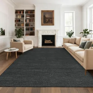 Washable Area Rug 8x10 for Living Room Bedroom Non Slip Minimalist Solid Color Area Rugs Modern Abstract Plain Dining Room Throw Carpet Low Pile Soft Classic Boho Rugs for Kitchen Nursery Oiifce,Black