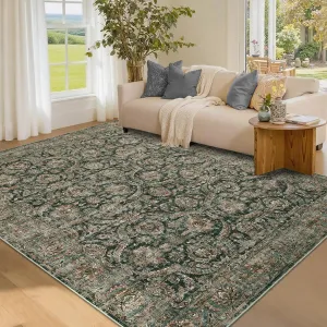 Washable Rug 5x7 Vintage Non Slip Area Rug for Living Room Bedroom Black