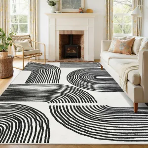Abstract 5x7 Area Rugs, Soft Washable Non Slip Ultra Thin Carpet for Living Room Bedroom, Black