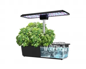 12 Pods Hydroponics Growing System Indoor Garden Kit with 36W 5 Color LED Grow Light